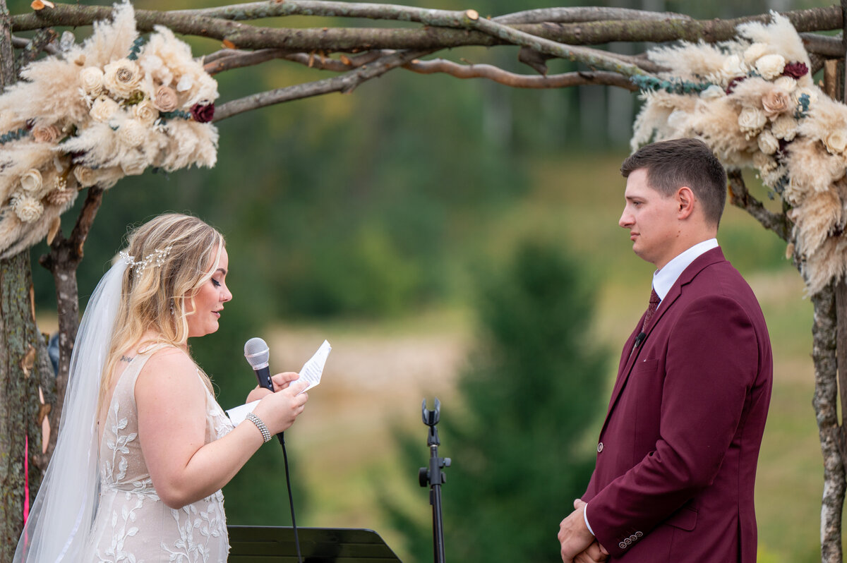 161-Wedding Ceremony Highlights-DSC_4214-Wedding Photography- St Cloud MN- Central MN, Nicole Hollenkamp