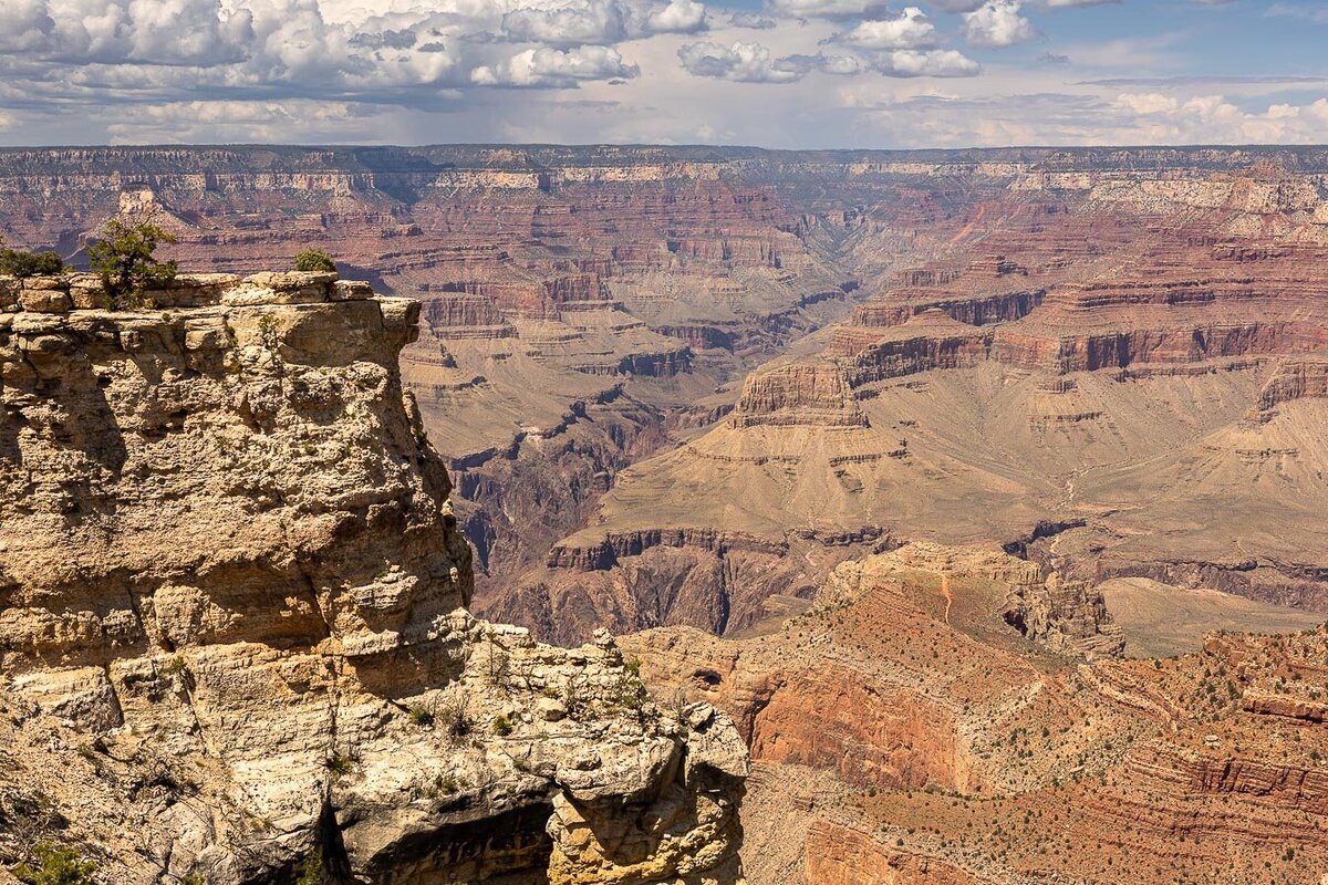 grand-canyon-cedar-ridge-2094