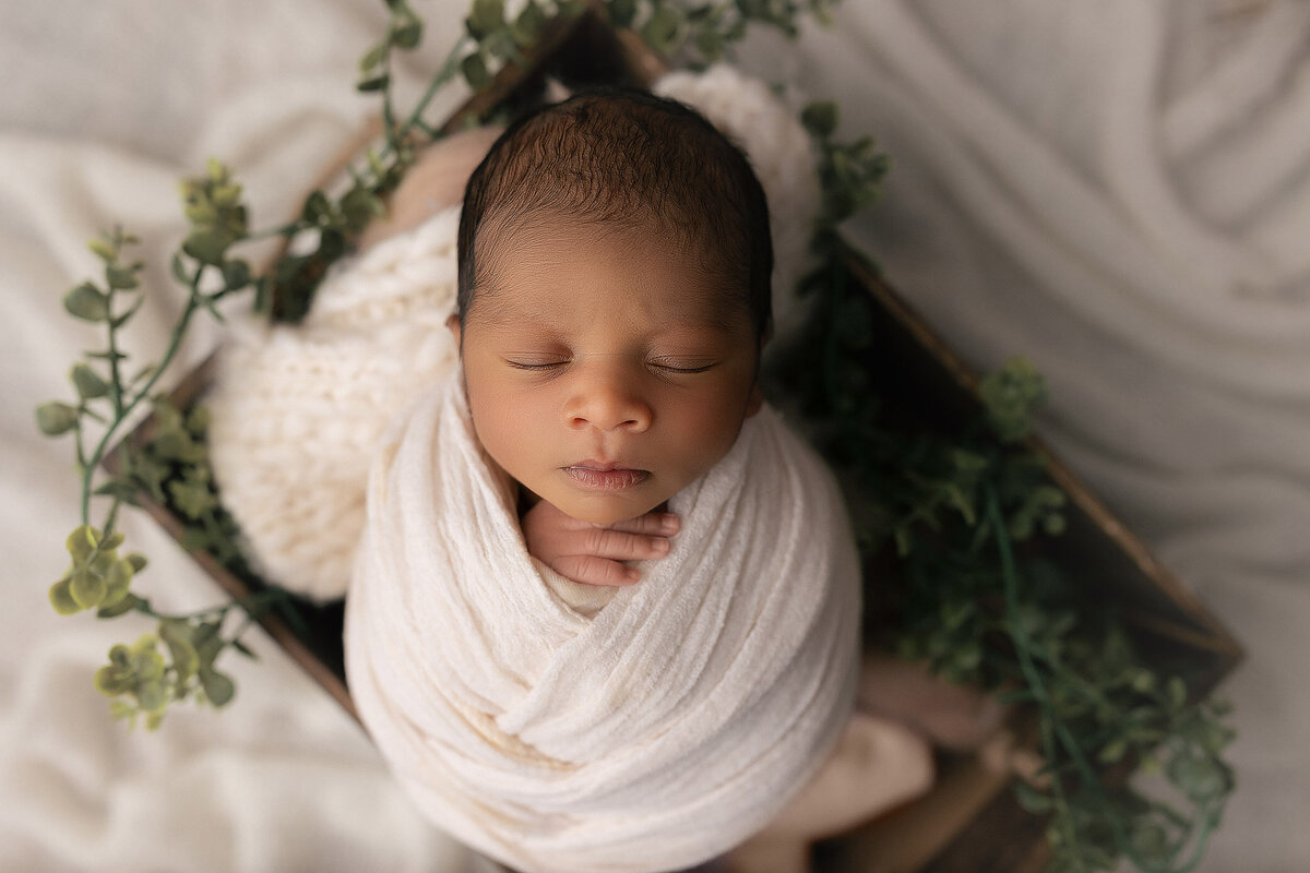 newborn photography photo taken by hamilton photographer - baby wrapped in white surrounded by greenery
