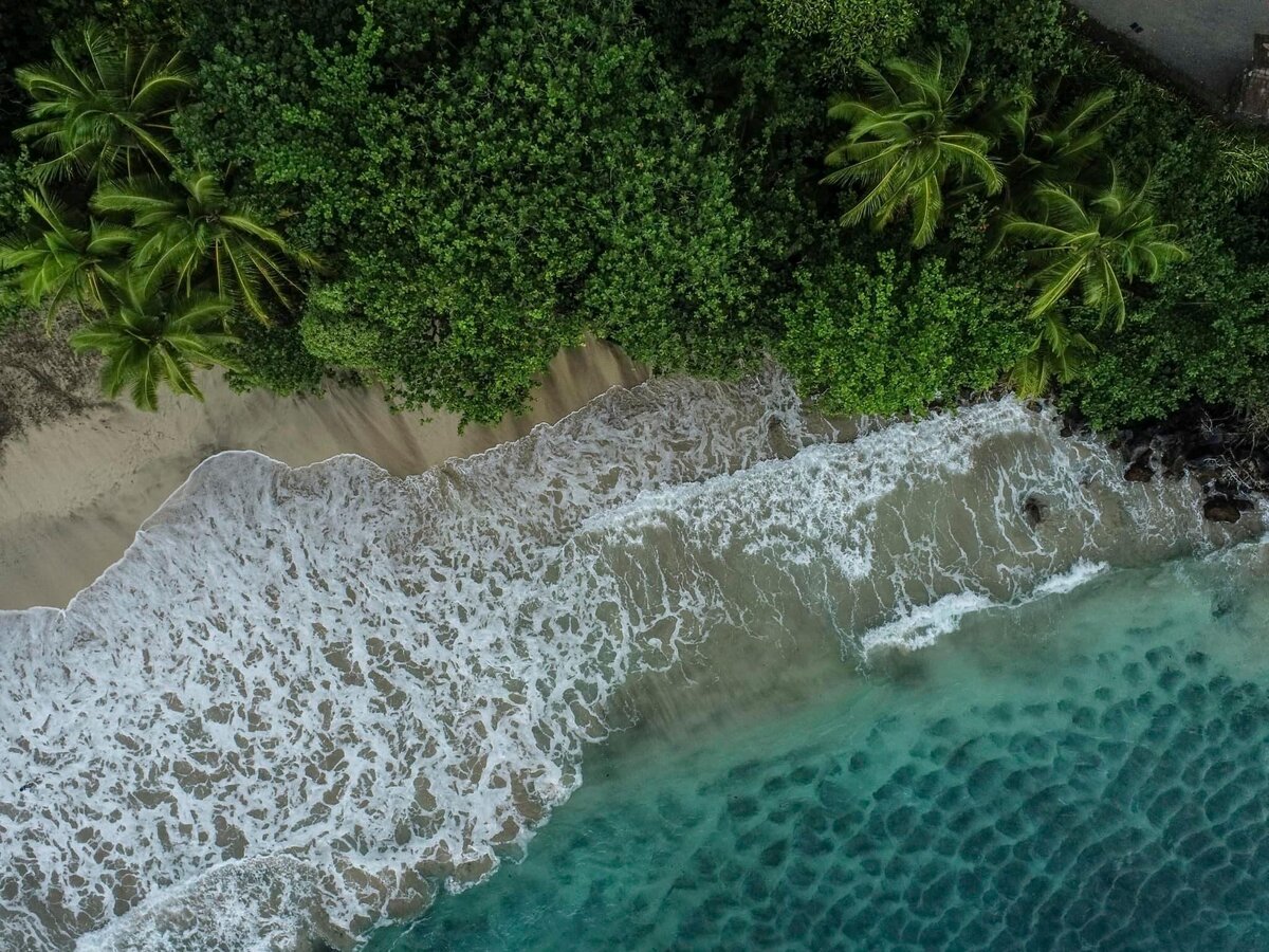 Maui Elopement Photographer captures ocean waves from drone during beach elopement