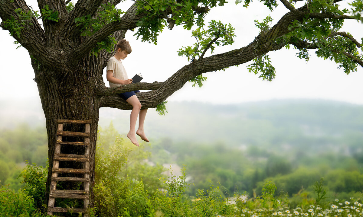 HenryTree