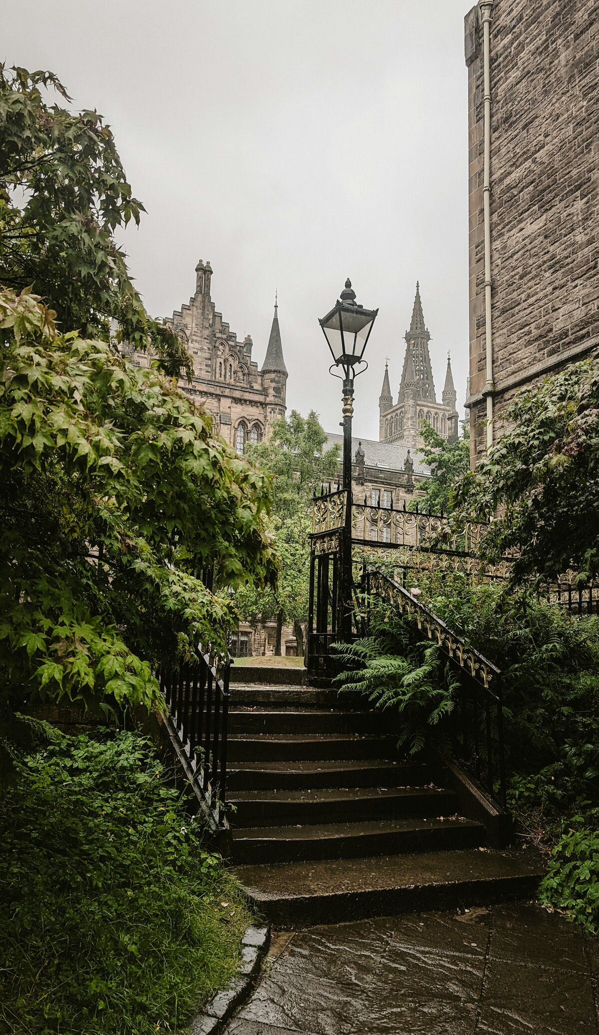 vishnu-prasad-NCBYcMeFeXU-unsplash
