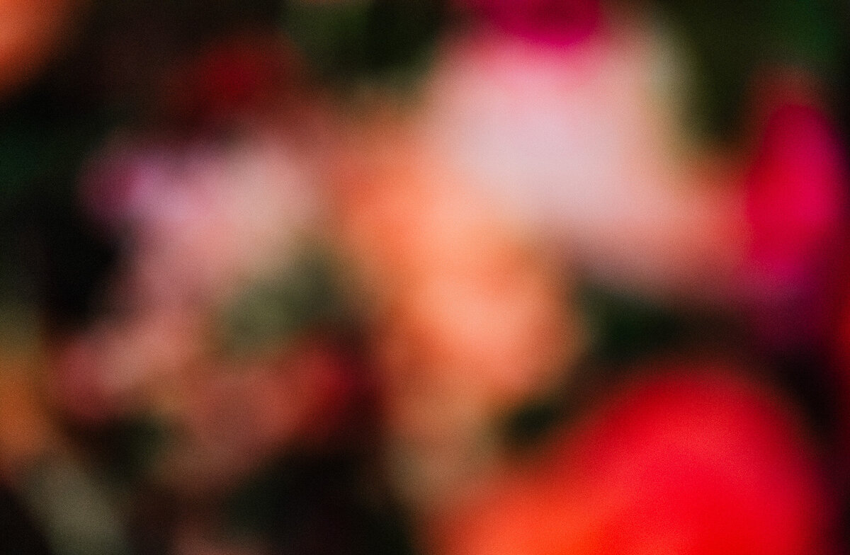 DSC00192