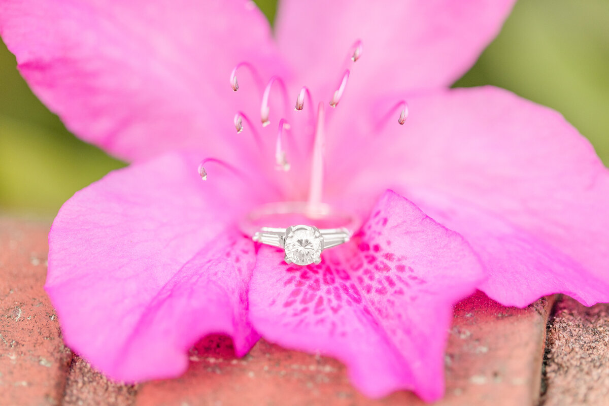 A couple at the State Botanical Garden of Georgia in Athens for engagement portrait session by Jennifer Marie Studios, best Georgia wedding photographer.