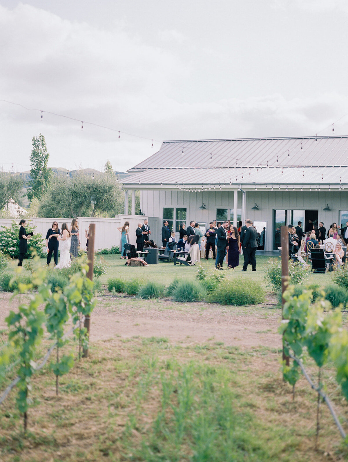 Luxury-Wedding-The-Barn-at-Harrow-Cellars-Sonoma-CA172