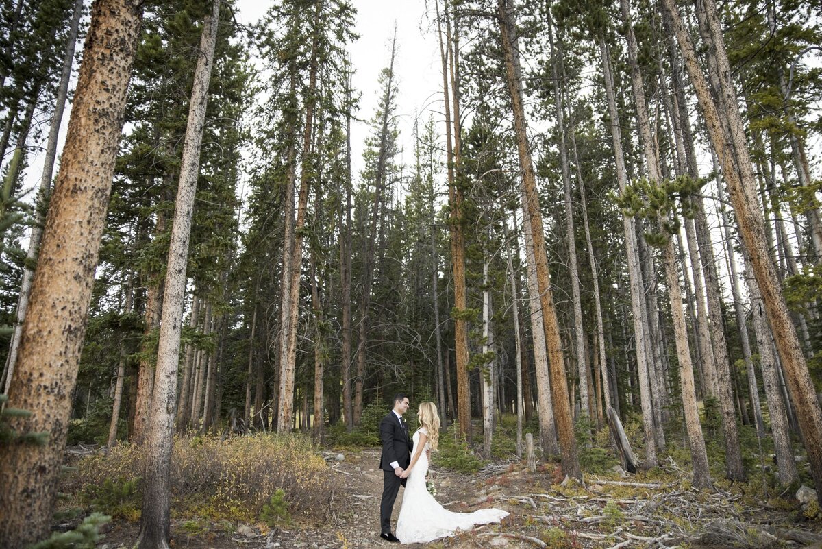 A wide angle shot of a bride and groom standing hand-in-hand in a forest of pines, captured by Denver wedding photographer, Two One Photography.