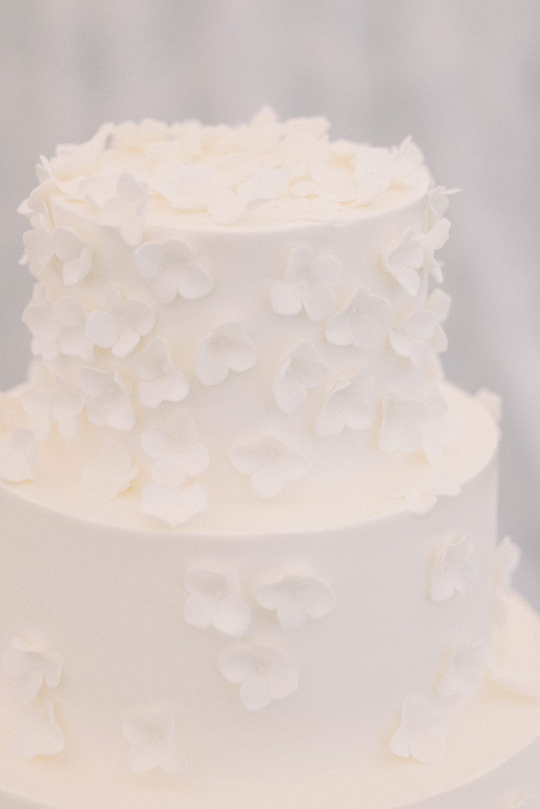Harbor View Hotel Edgartown MV Wedding-By Halie Wedding Photography-EB20240622-FINAL-789