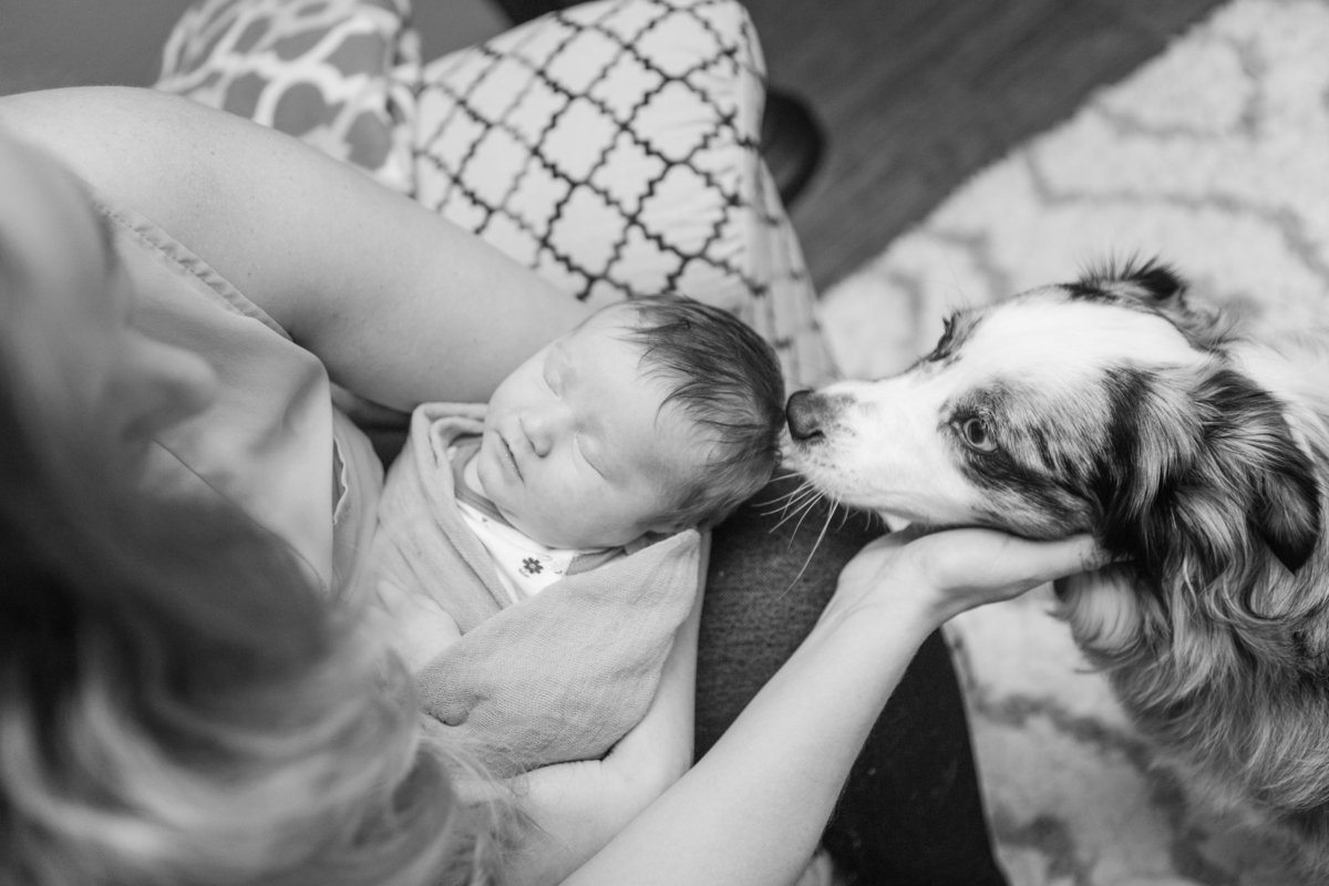 kerrville boerne fredericksburg family photographer-13