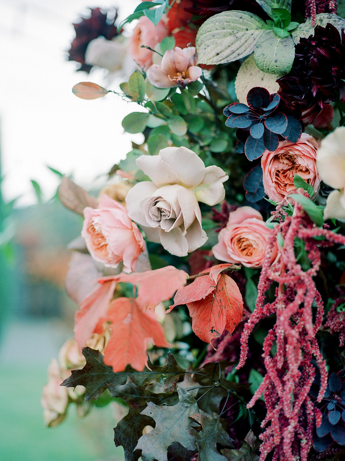sd_film_187