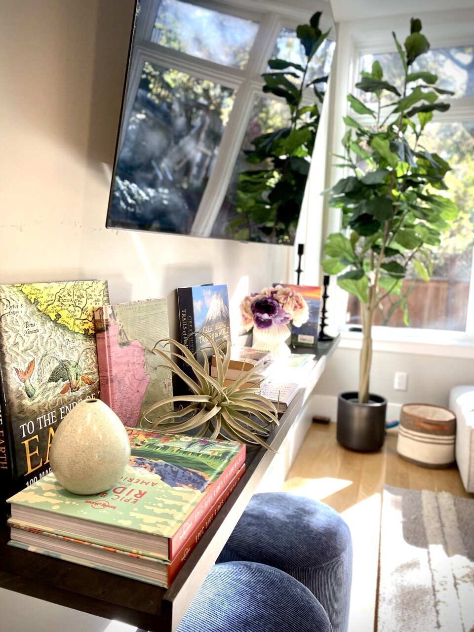 Cole Valley San Francisco Interior Design 5