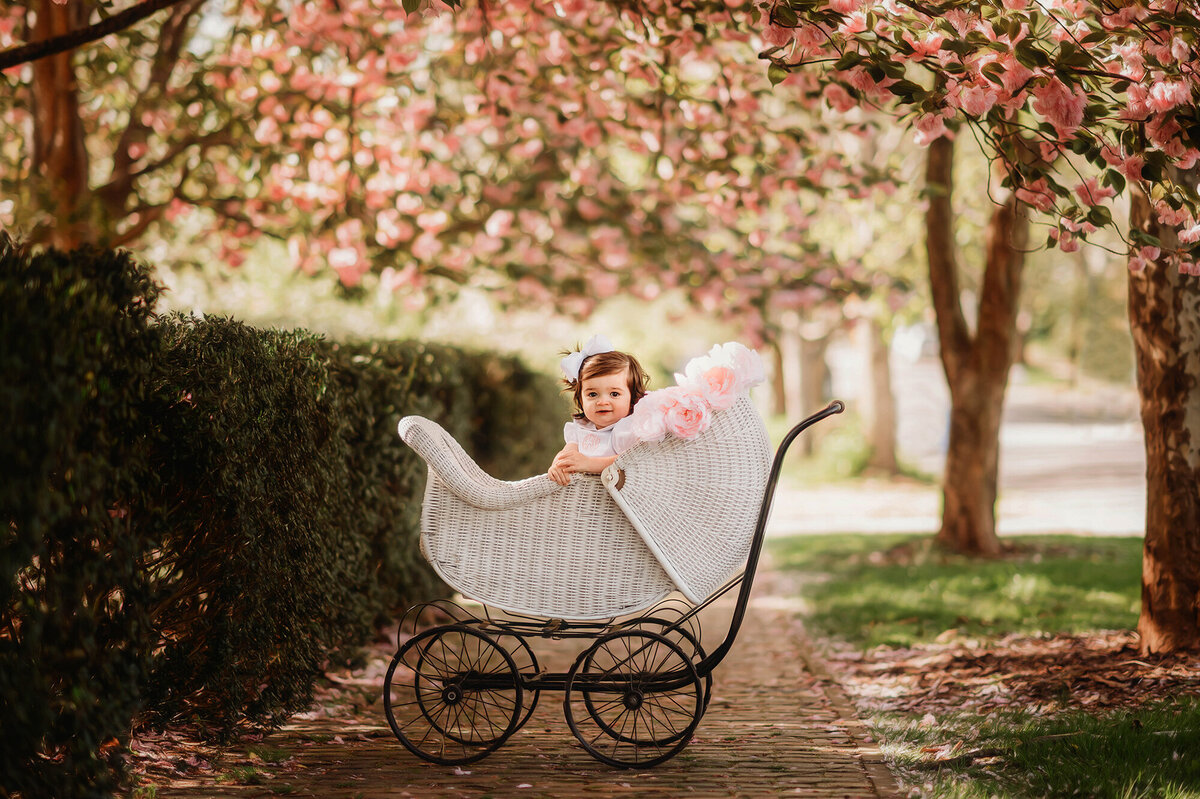 Little girl sits in an antique stroller beneath cherry blossom trees during Family Portraits in Asheville, NC.