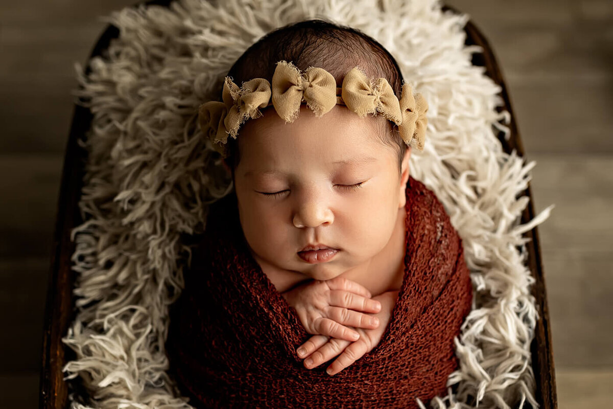 newborn-family-toddler-session-bloomington-illinois-2