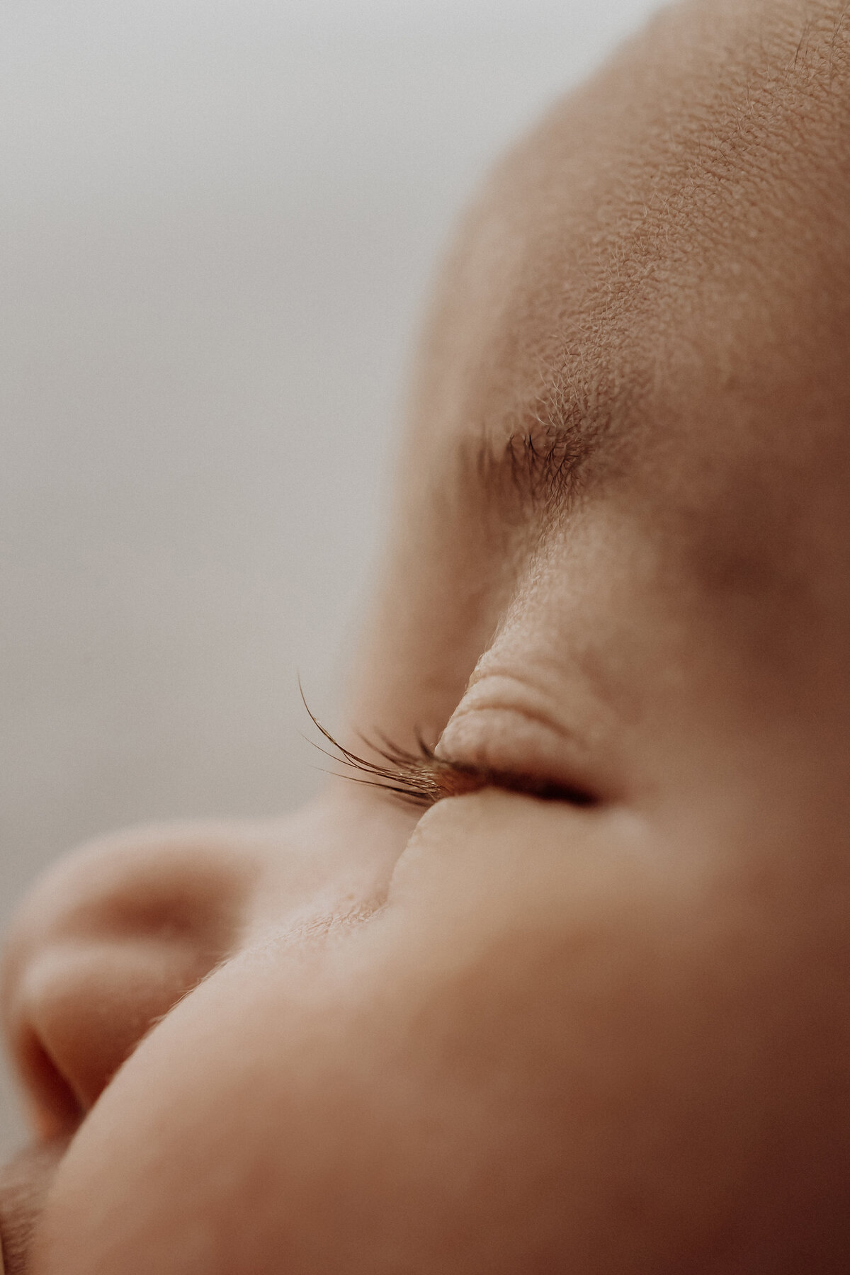 A lash macro photograph taken by lucy jane photography in christchurch