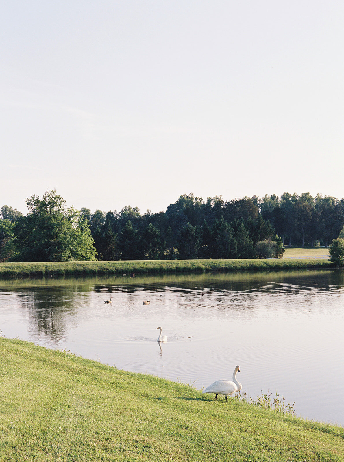 Virginia Wedding Photographer Natalie Jayne Photography-02-6