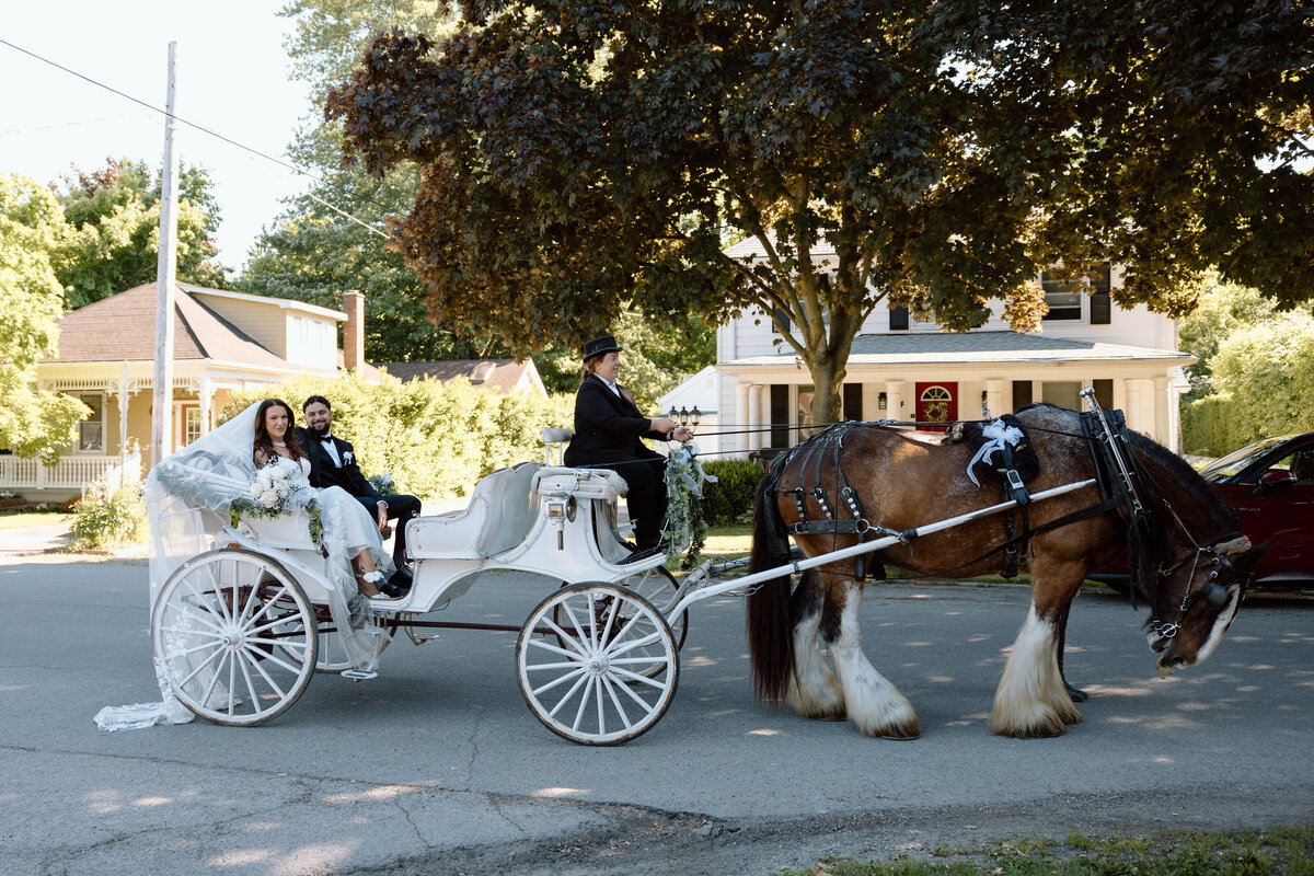 24.06.15-Alanna+AlijhaWedding-5351