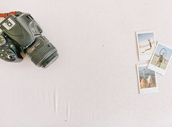 Color tones inspired by ivy and nature, reflecting the brand's aesthetic.