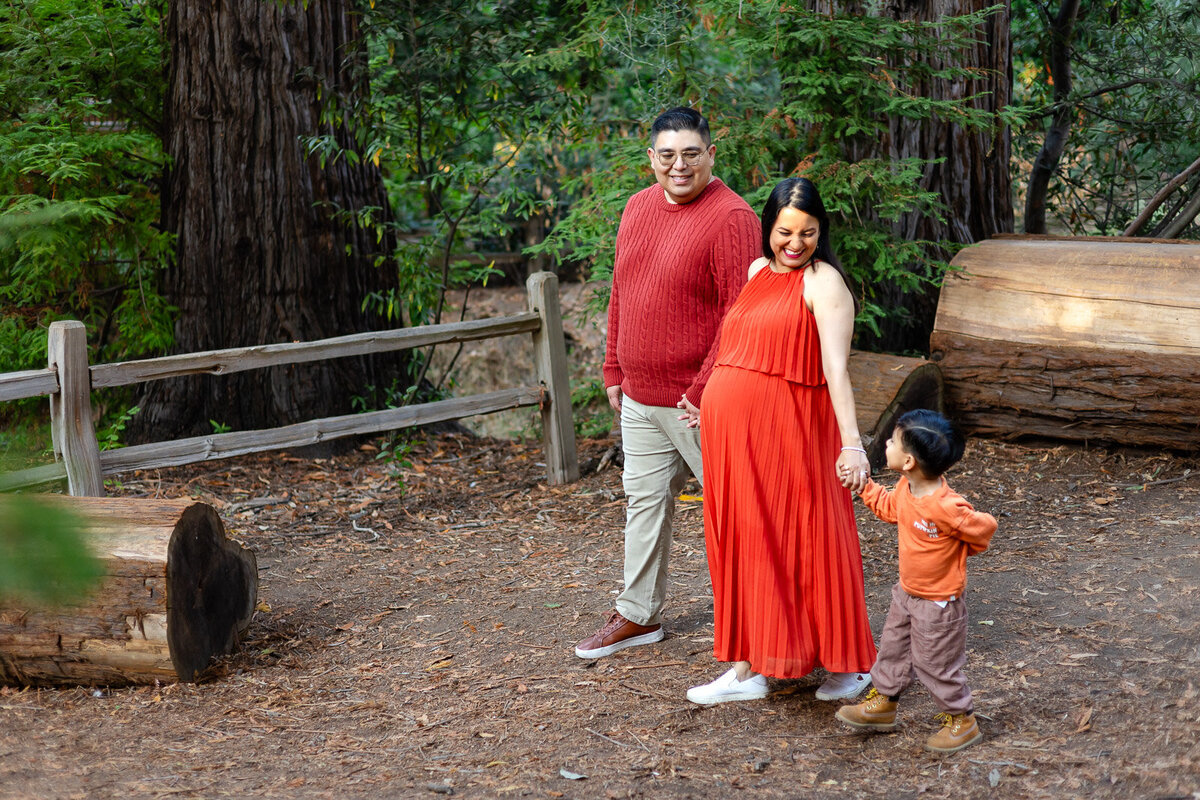 Family walking through a redwood forest with the mother holding her son's hand – Ellobelle Photography