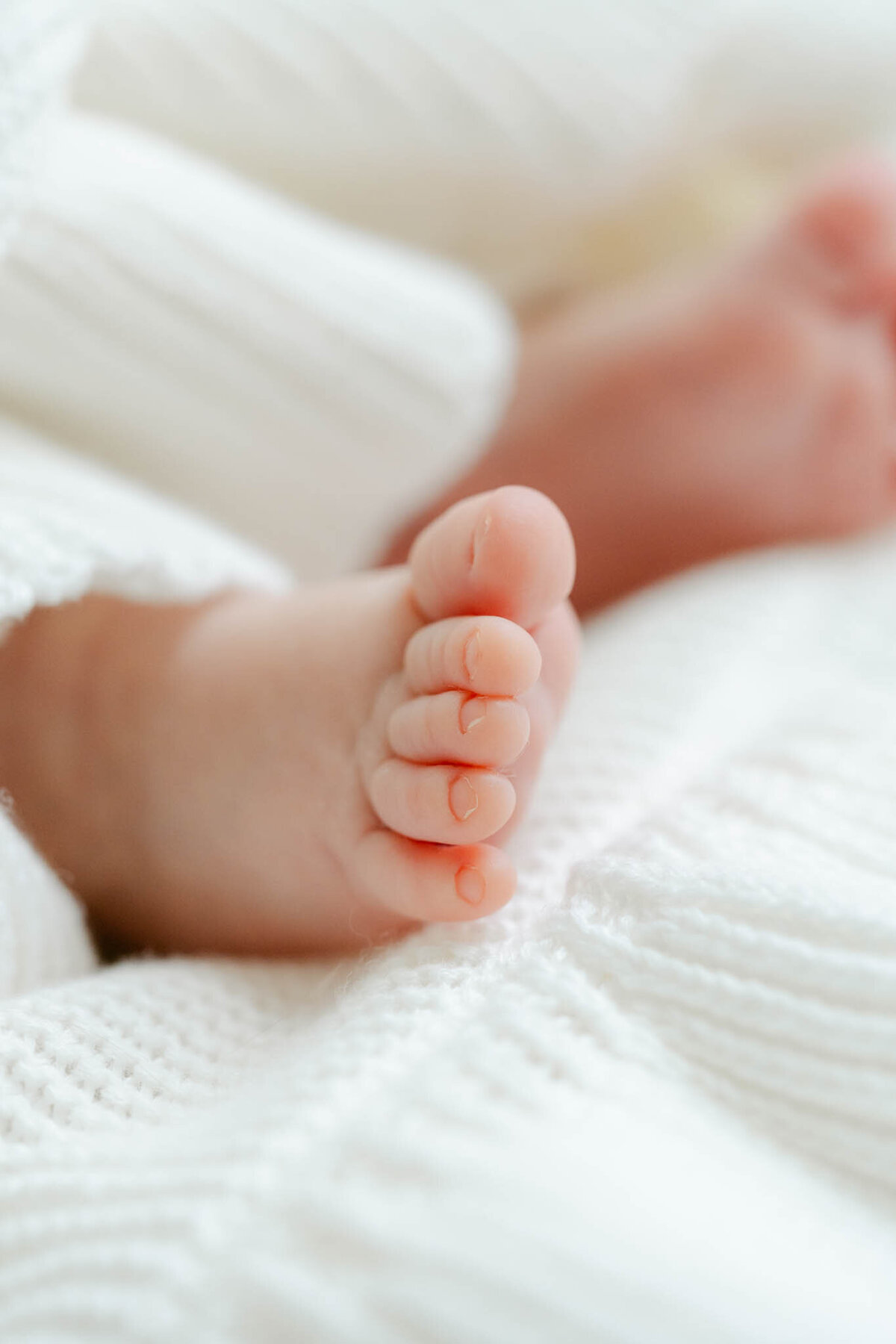 Philadelphia-Newborn-Photographer-2248