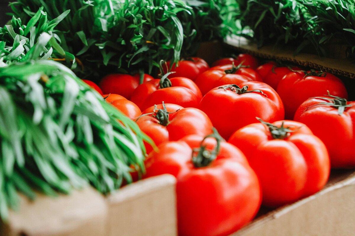 Baskets of fresh tomatoes at the Chestertown Farmers Market, emphasizing their freshness and local sourcing.