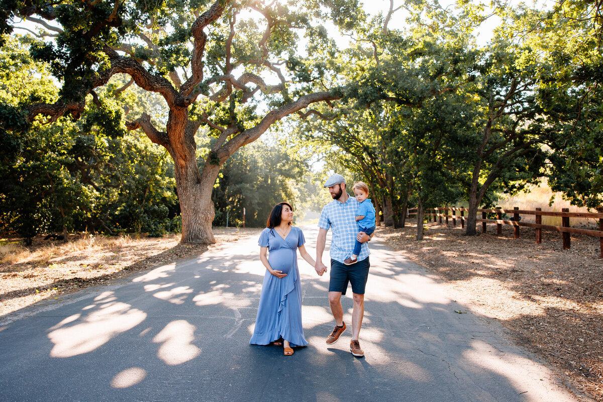 santa clarita family session