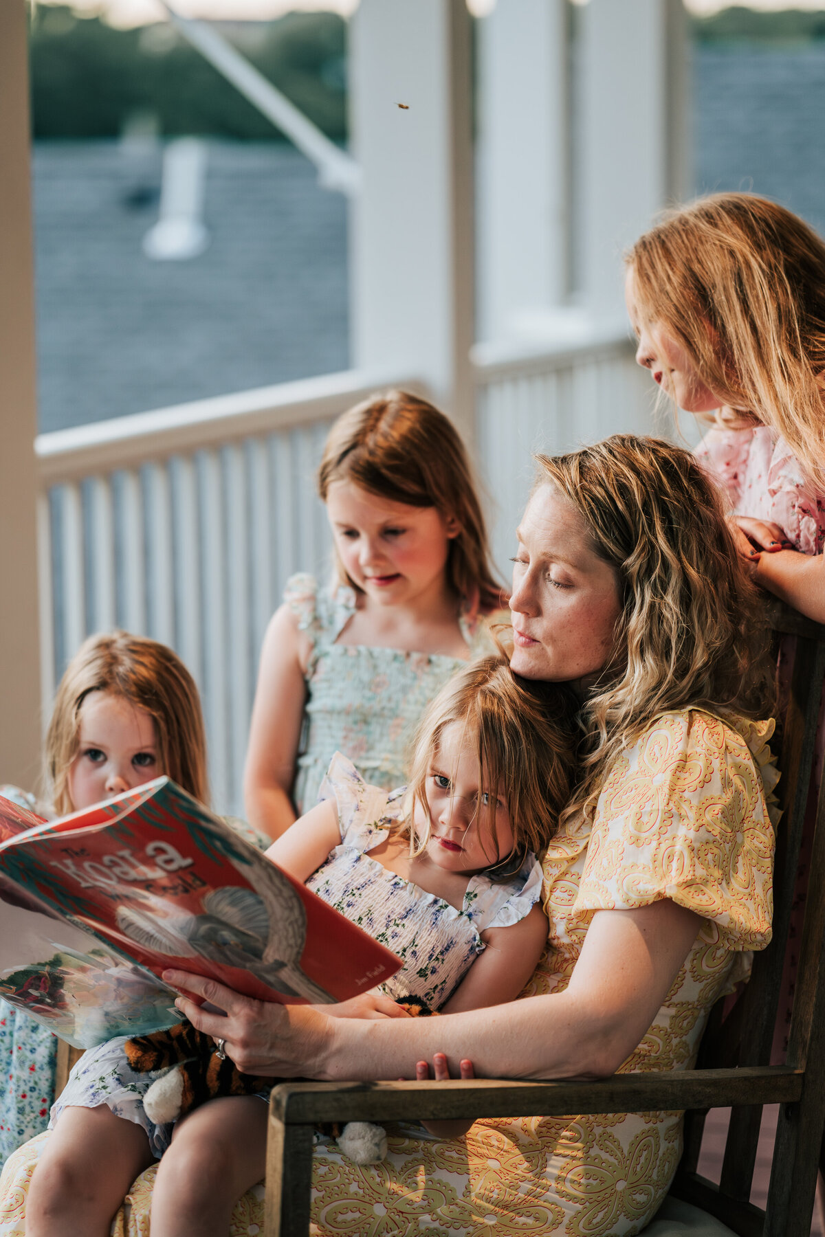 DSC_7509-Enhanced-NR