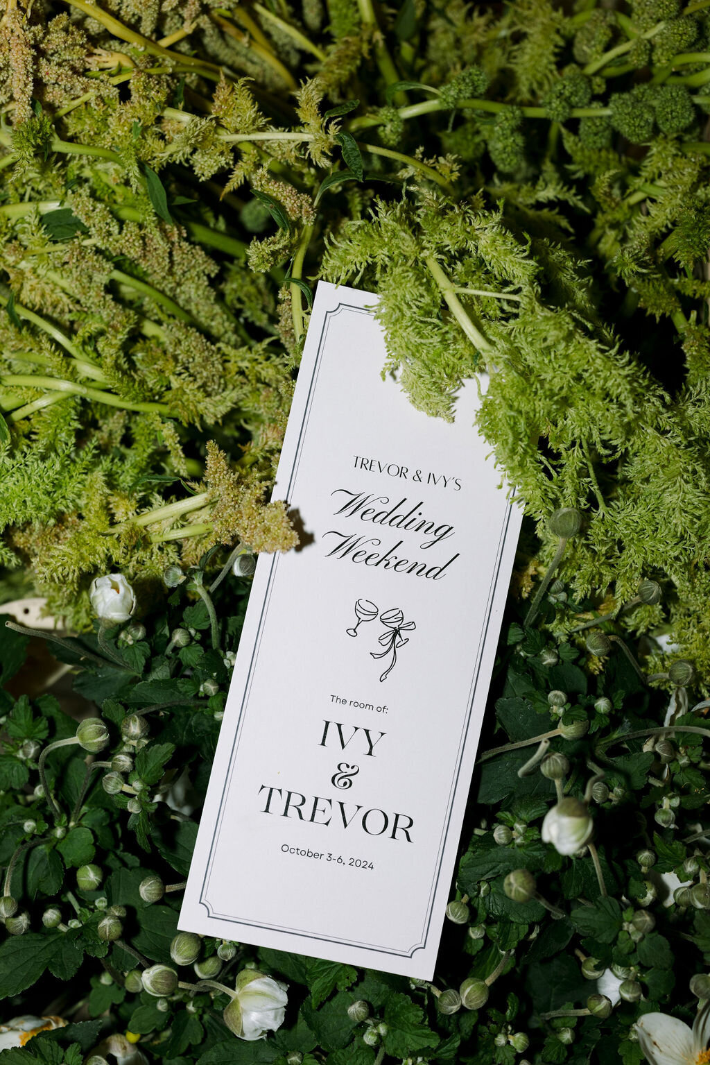 ivy-tre-327