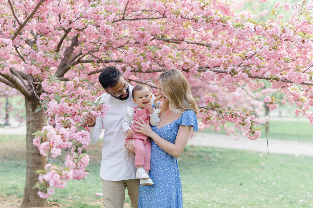 Family of 3 in front of cherry blossom tree in NYC