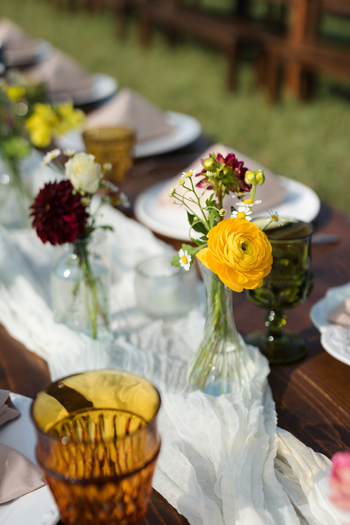 Backyard-Wedding-Rogers-MN-B&S-Will-DeGraw-Clever-Disarray-43