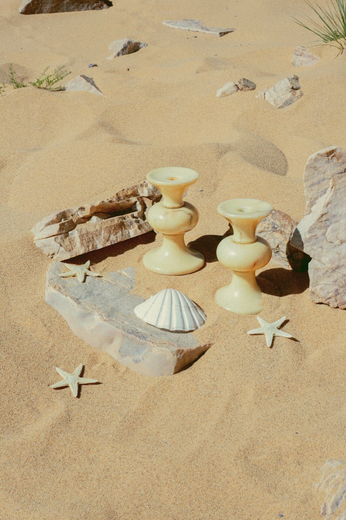 DTS_Eccentric_Nature_Mar_Boerr_Photos_ID8638