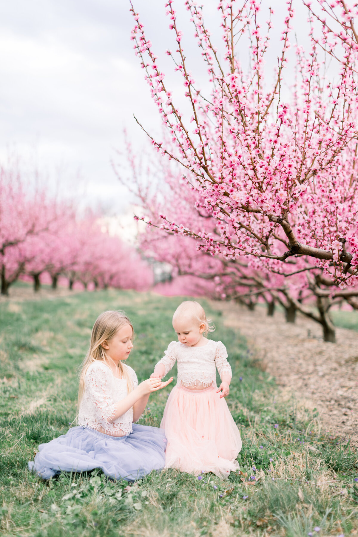 cherryblossoms2020-70
