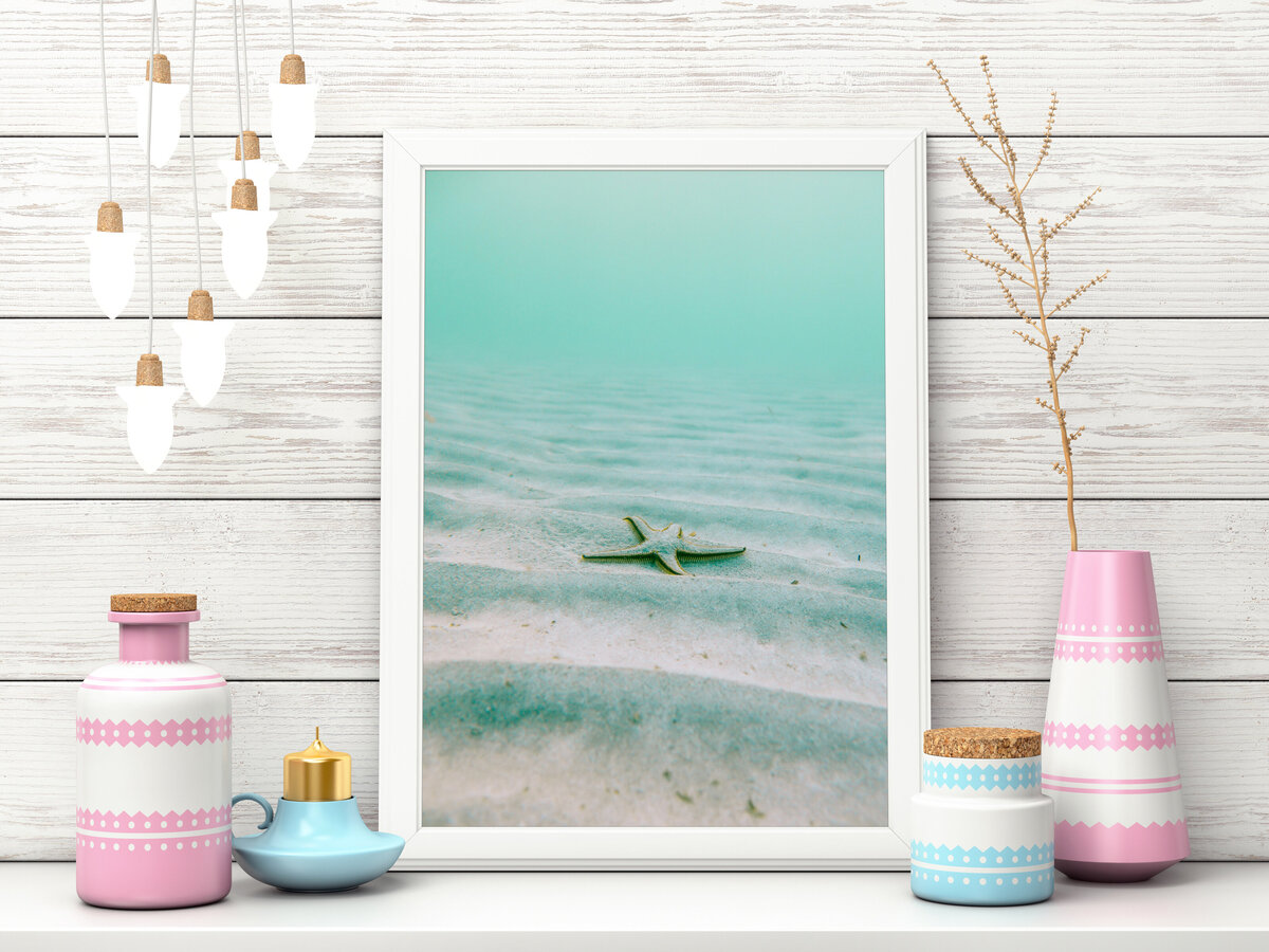 sealife_02a