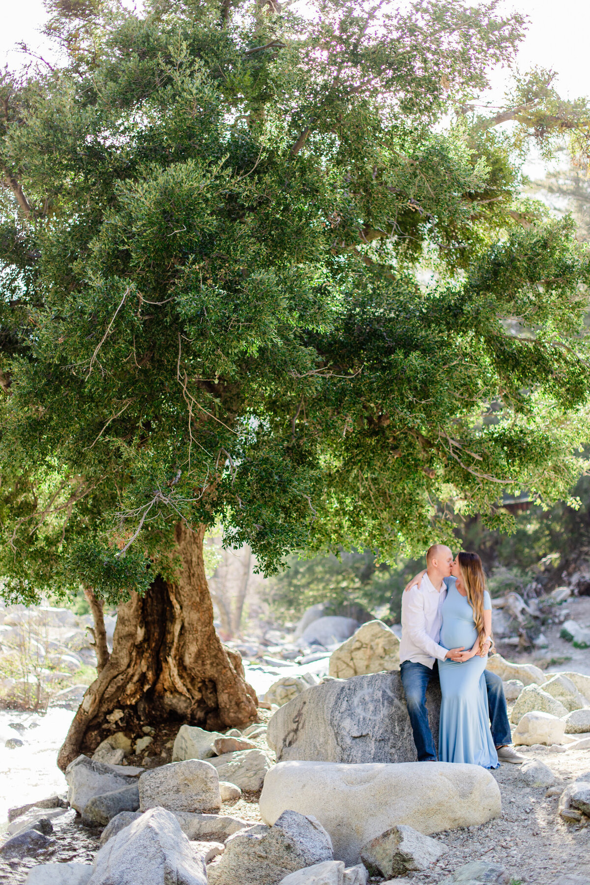 maternity couple kiss under large tree