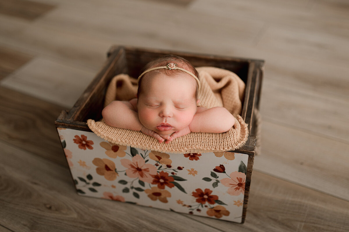 Baby posed in studio for newborn session Swanton Ohio