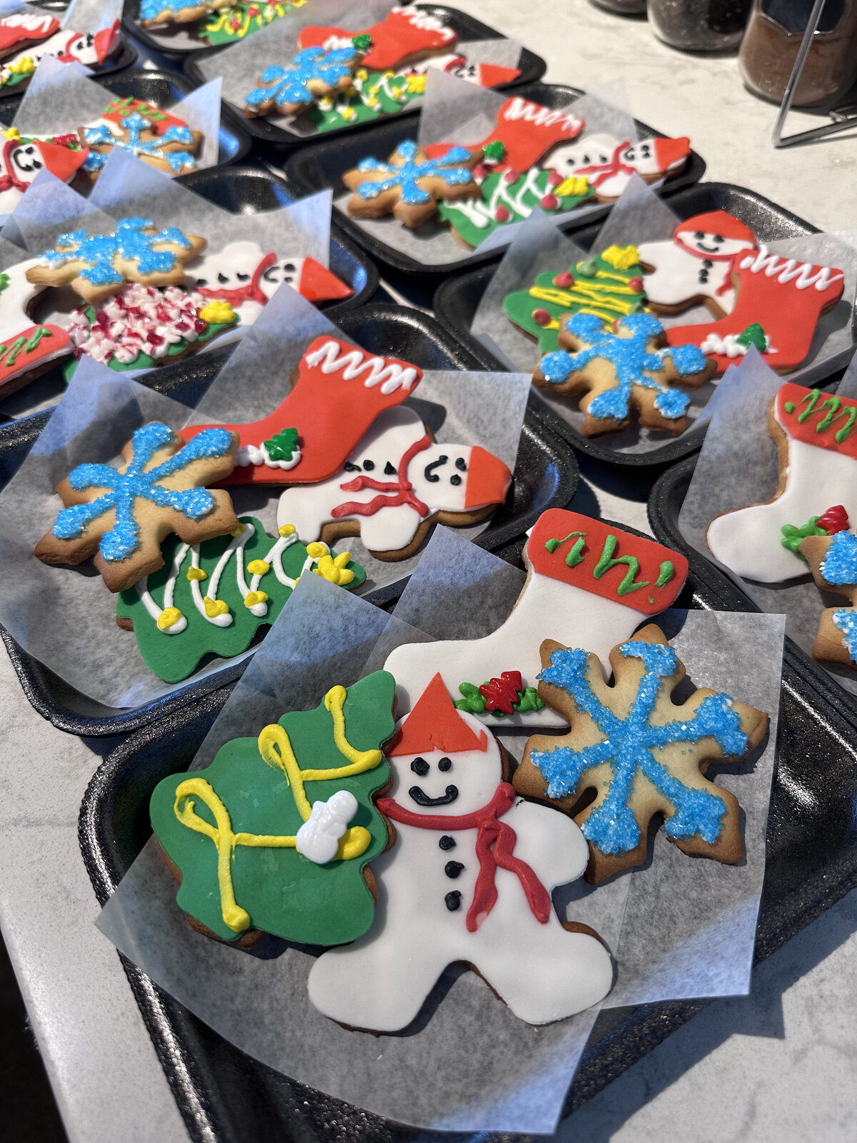 regina-custom-cookie-decorations (3)
