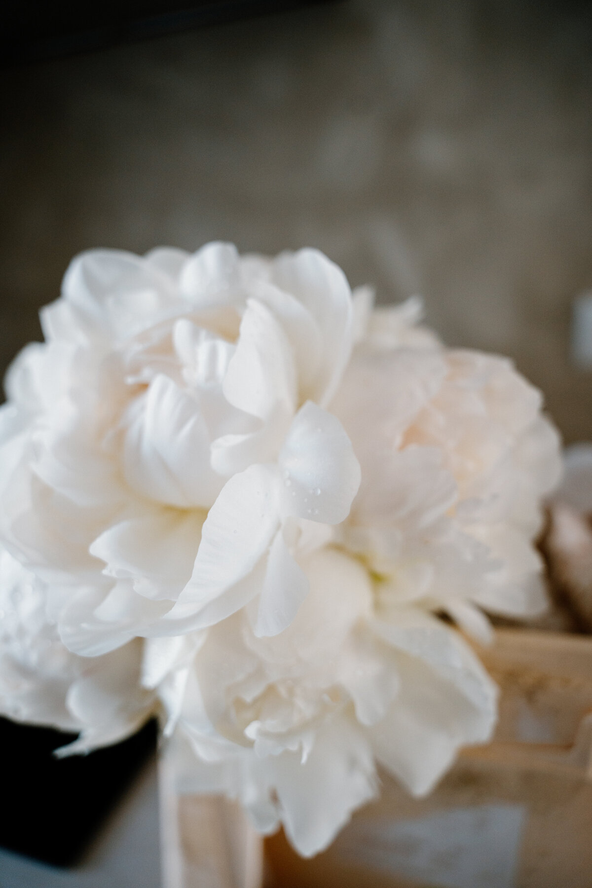 image00001