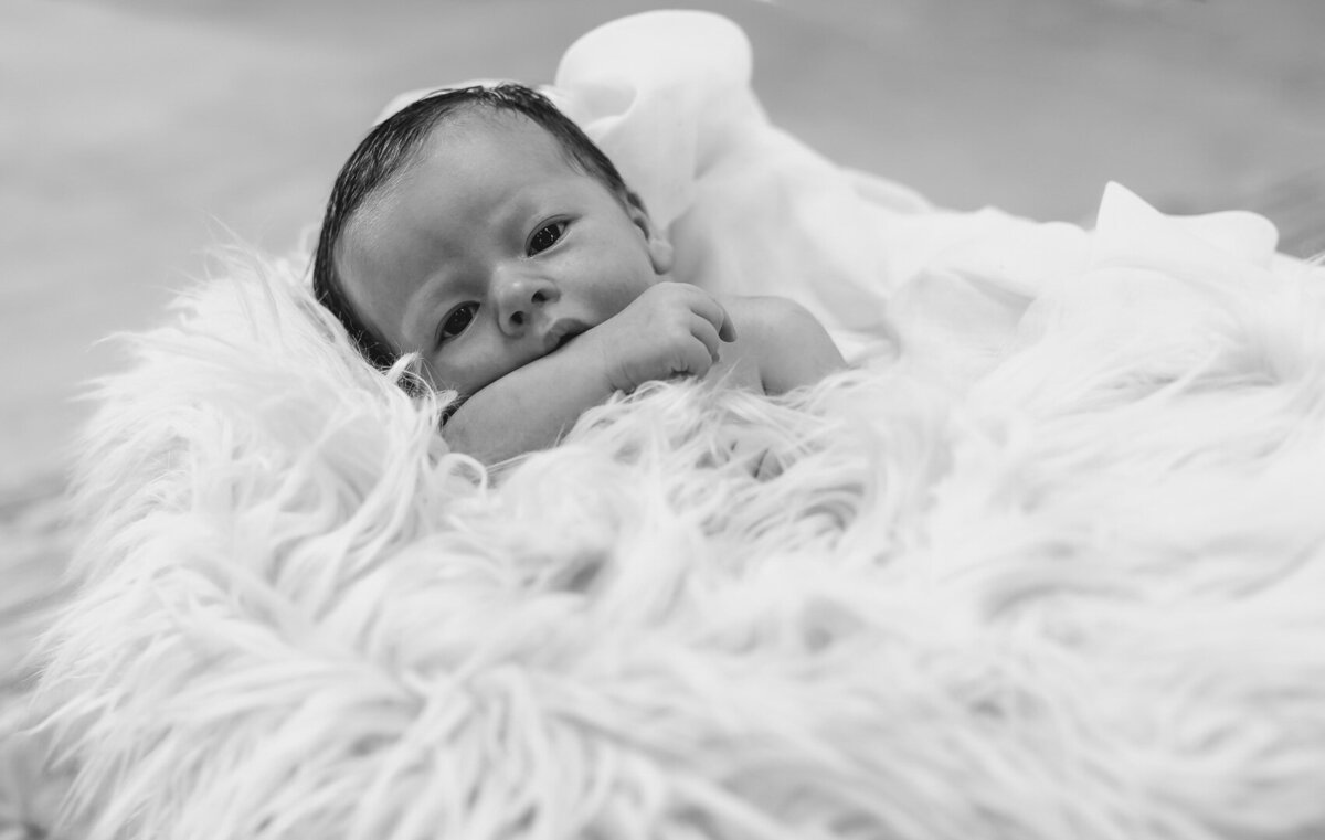 Jackson Moss Newborn Session0004