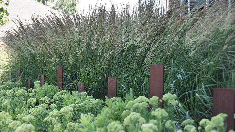 Commercial landscape company project in Kansas City
