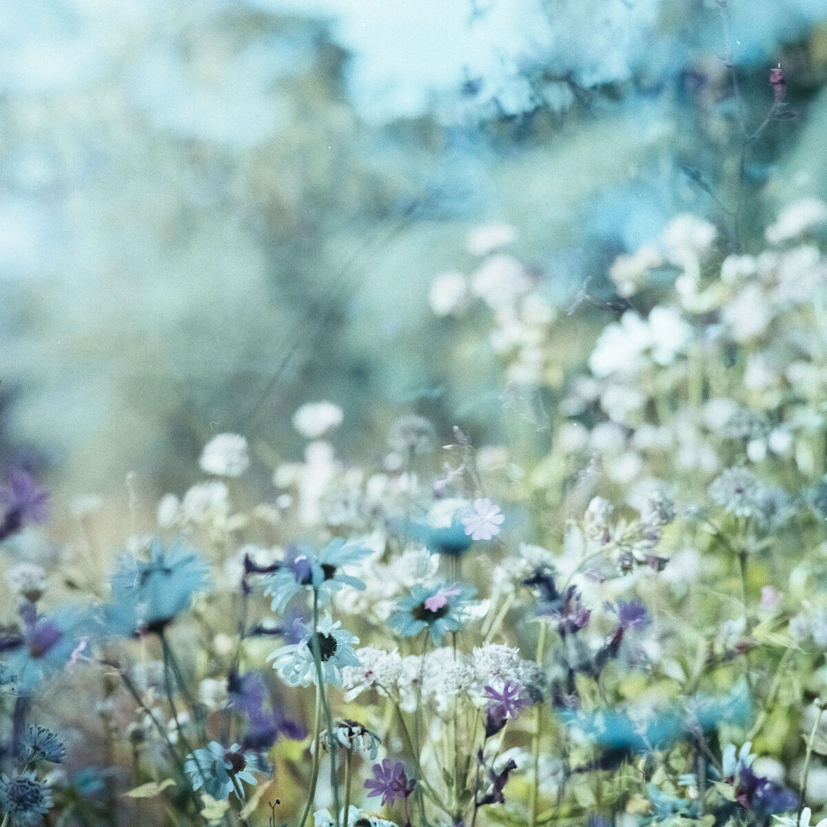holistic psychotherapy nyc