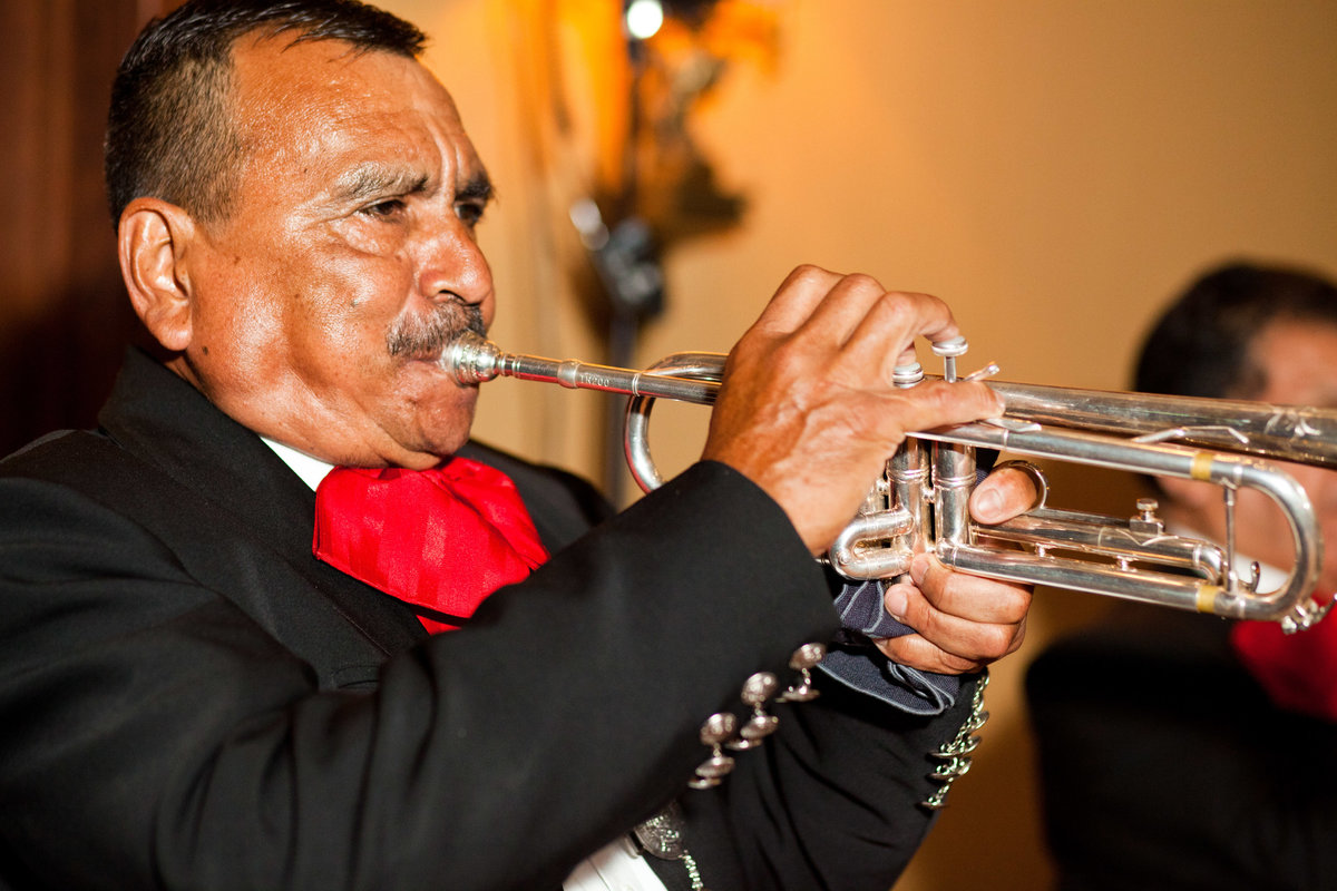 Stephens (352 of 394)