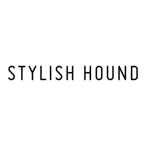 stylish hound