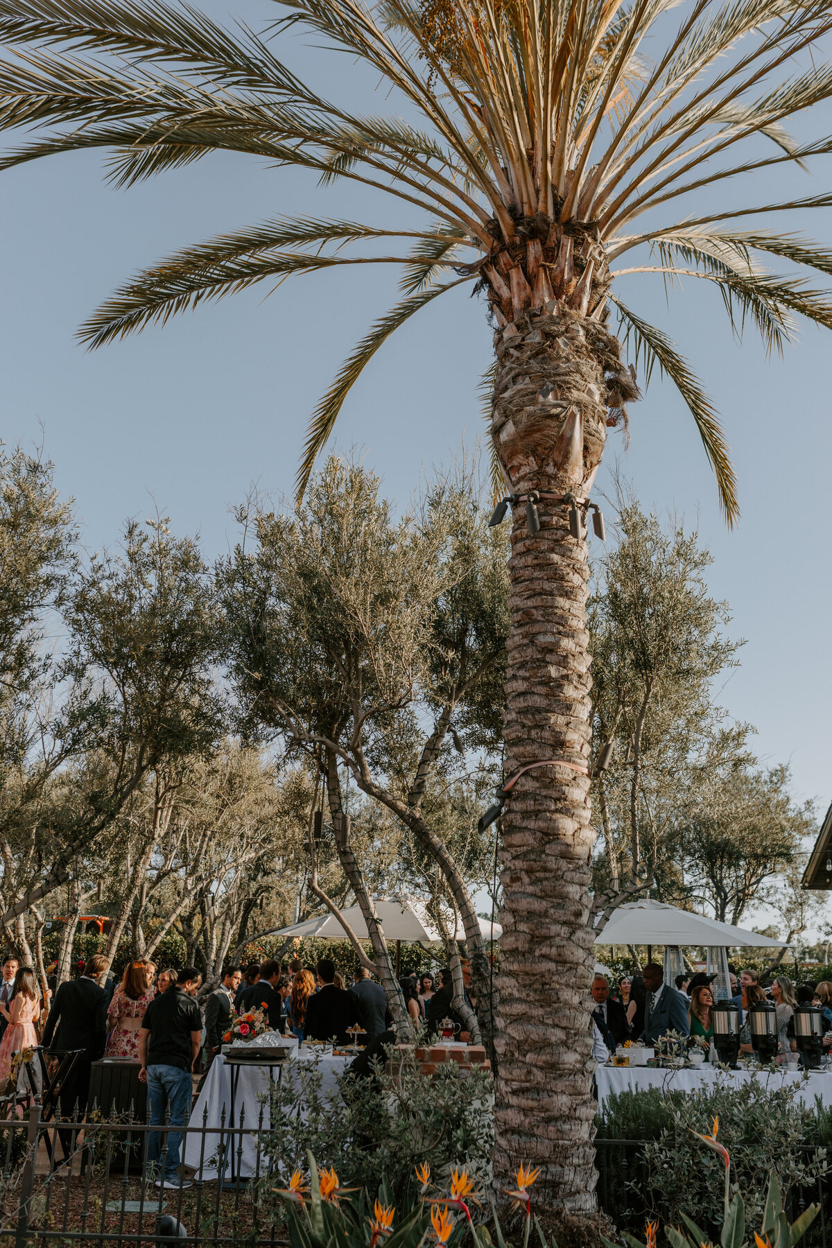 Inn at the Mission San Juan Capistrano Wedding