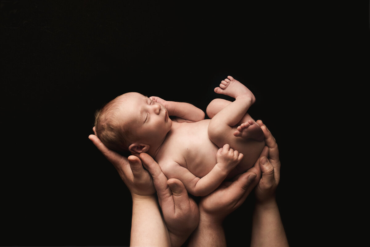 49 Studio Families