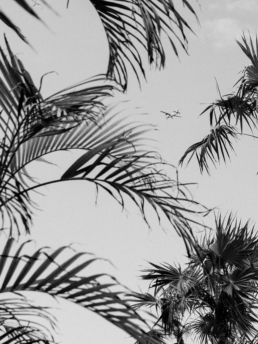 leila-brewster-photography-0425