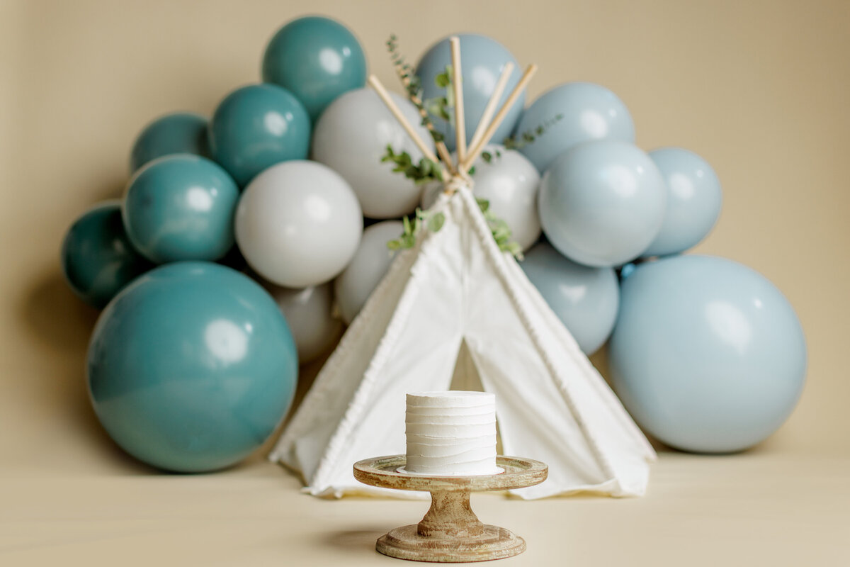 Simple Neutral Huntsville AL Cake Smash Photographer