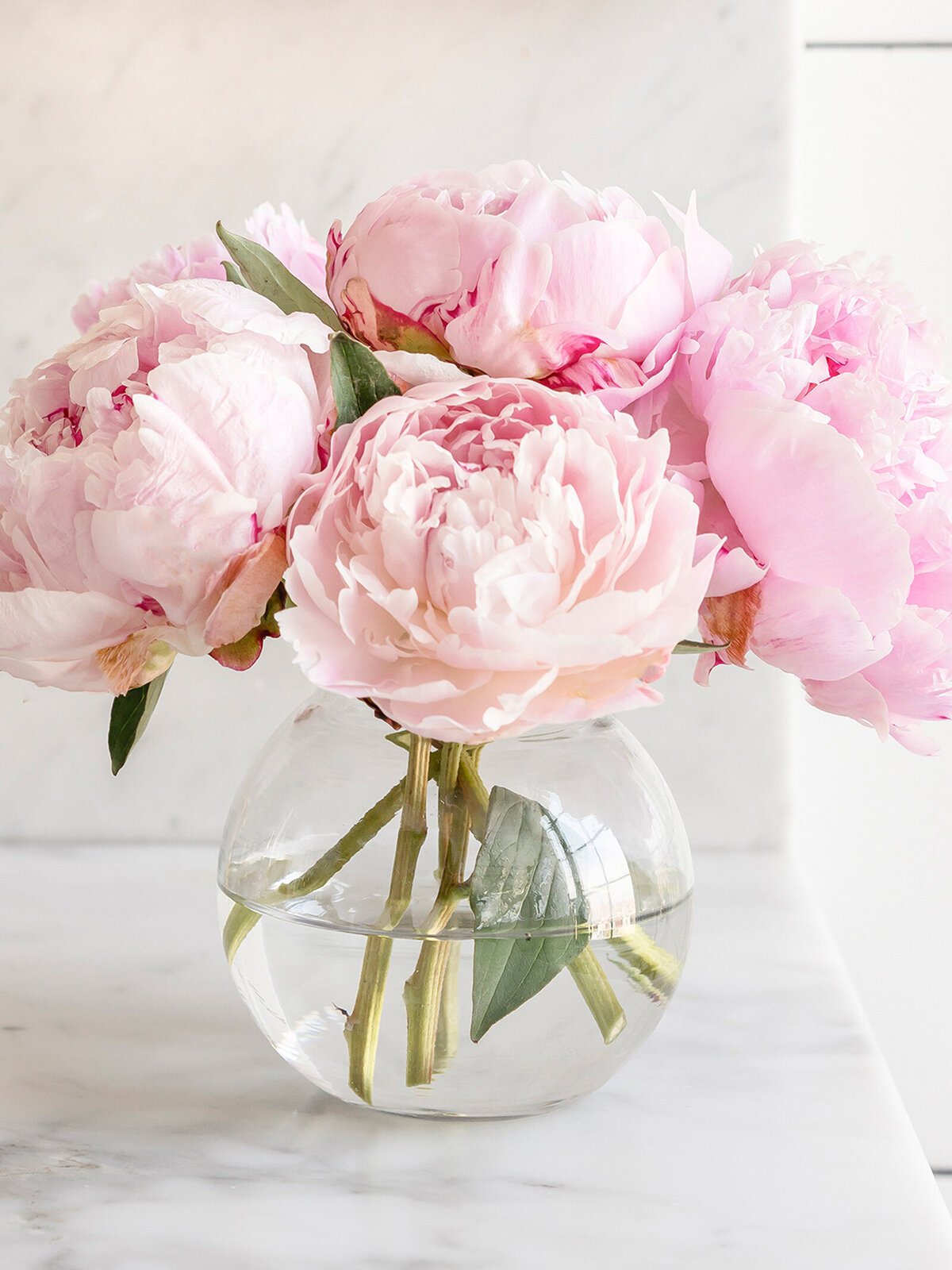 headerphoto_roses