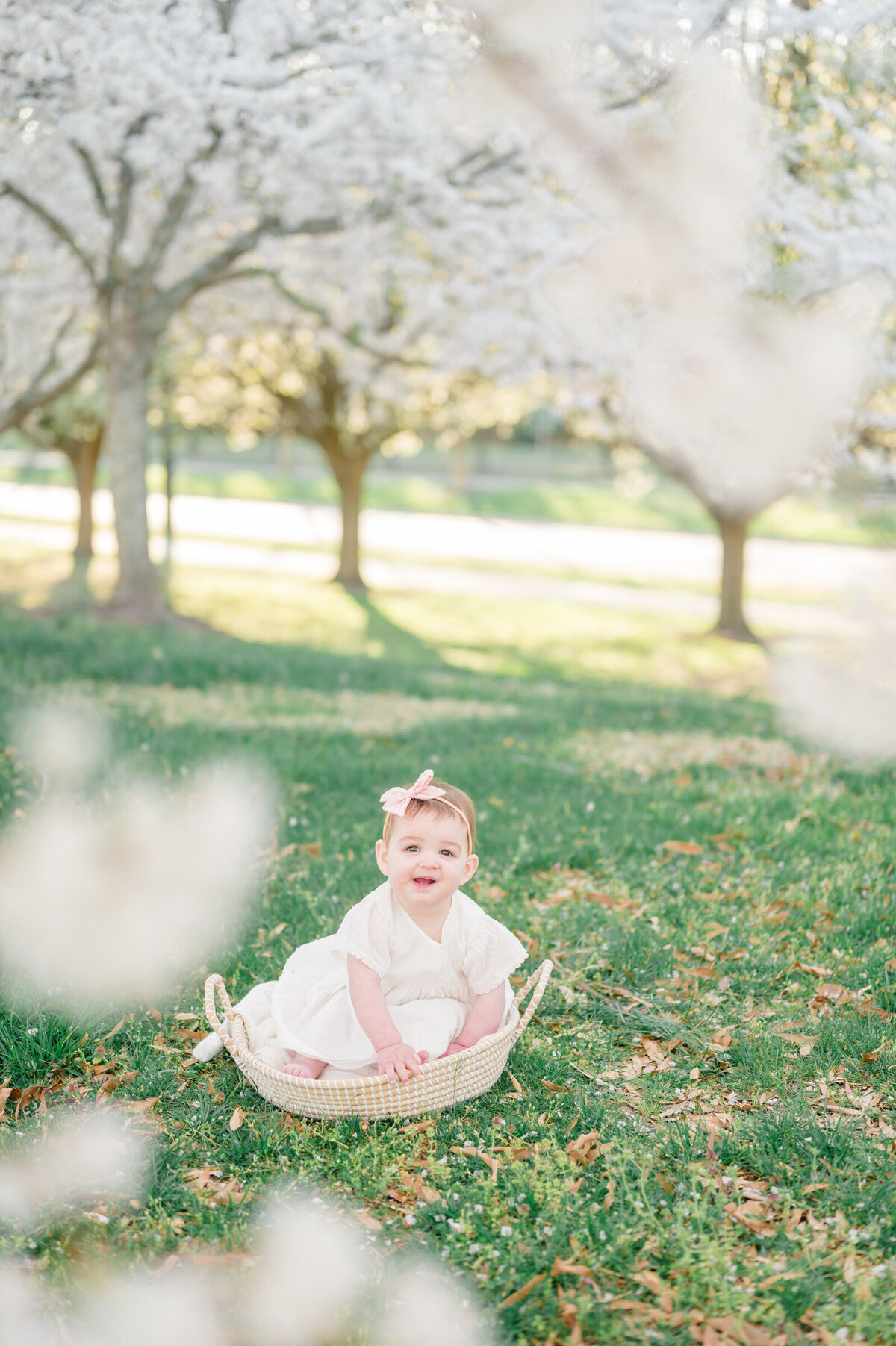 one-year-milestone-cherry-blossoms-1