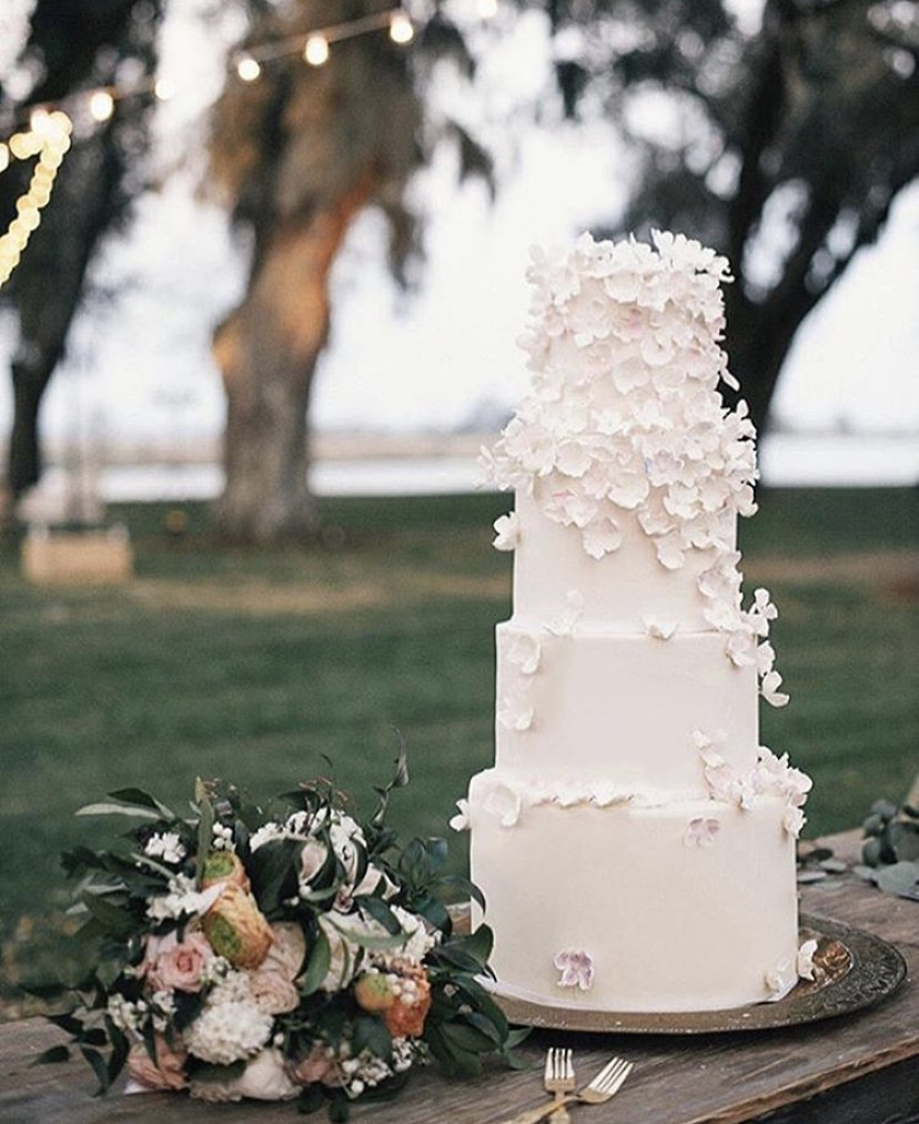 Vanilla and The Bean Savannah Wedding Cakes