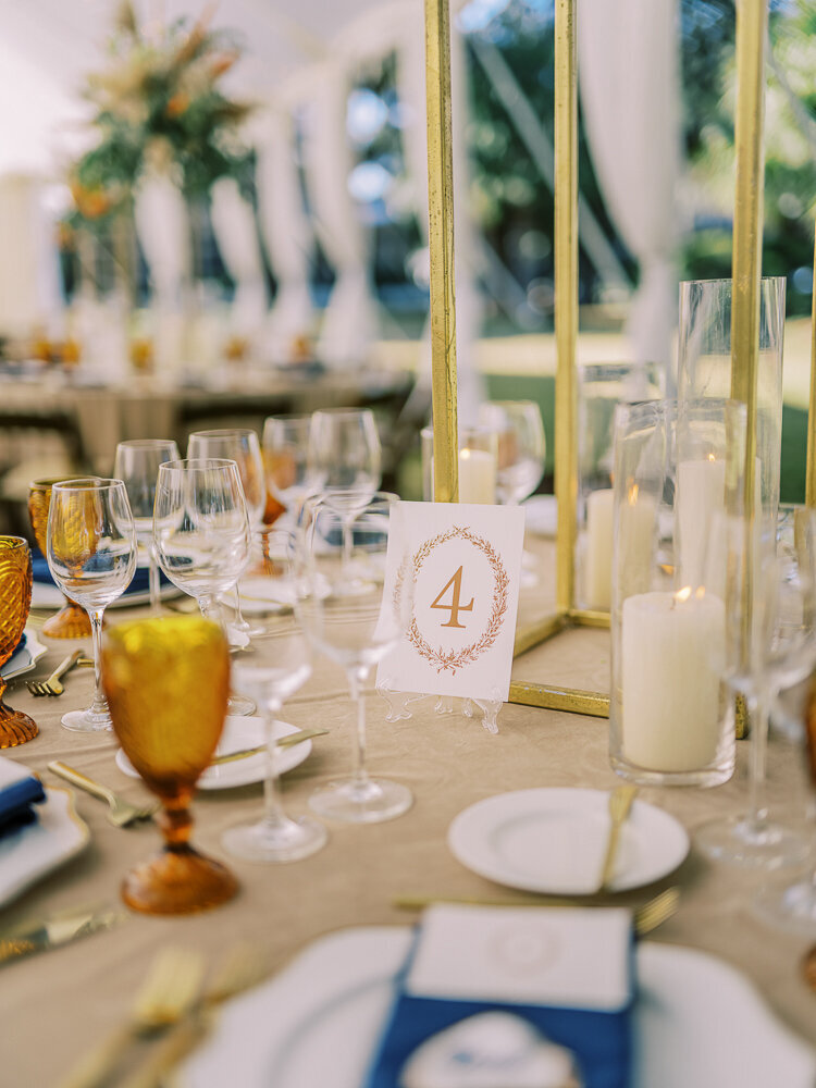 PALMETTO BLUFF WEDDING PHOTOS (490 of 733)