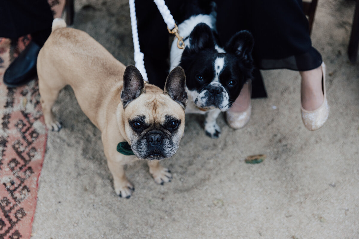 THEDELAURAS_LOMAVISTAGARDENS_BIGSUR_WEDDING_TABOR_CHRISSY_0540 copy