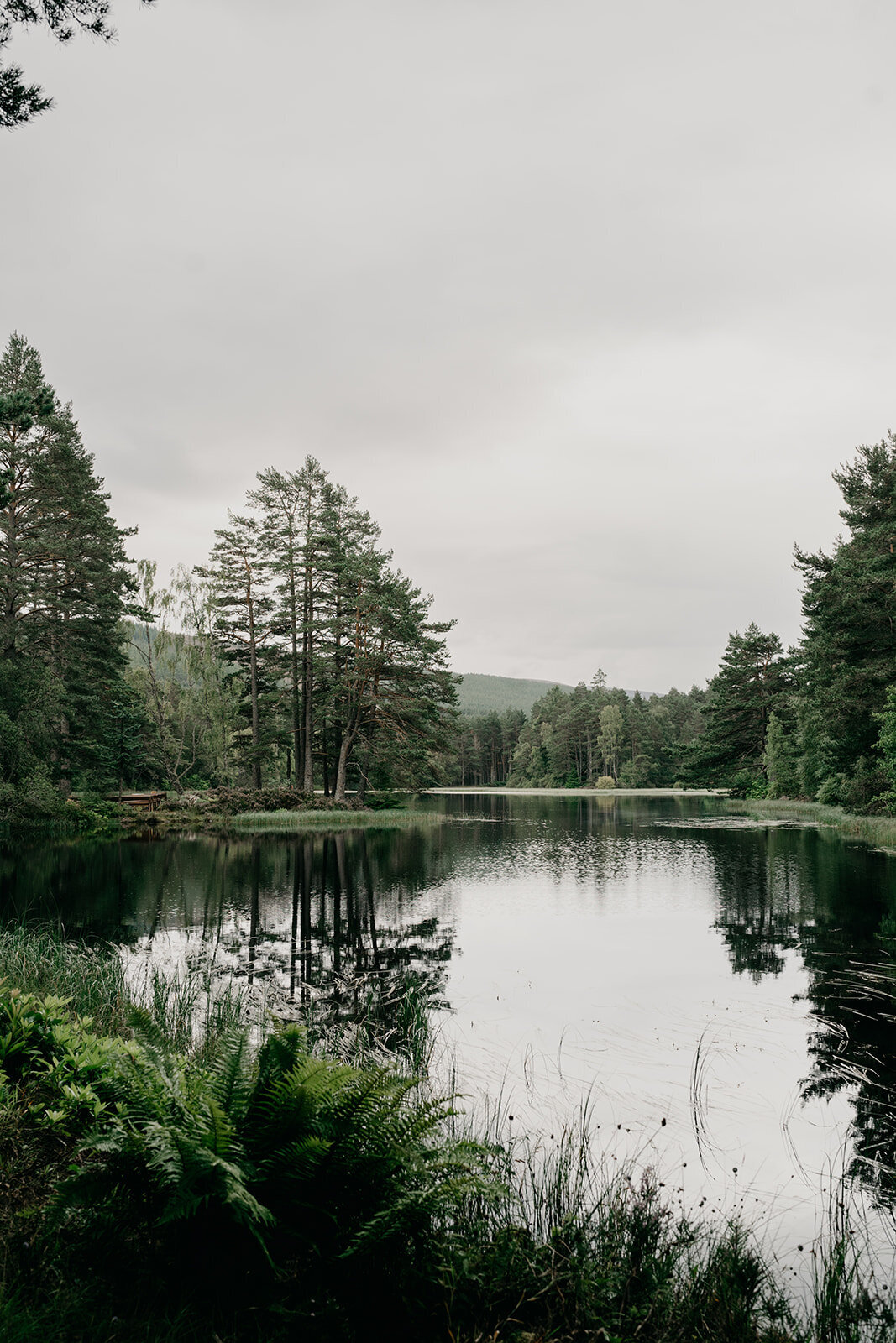 Glen Tanar Ballroom Aberdeenshire Wedding by Aberdeen Wedding Photographer Scott Arlow 53